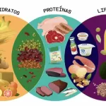 tudo-sobre-os-macronutrientes-1024×512-1