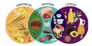 tudo-sobre-os-macronutrientes-1024x512-1
