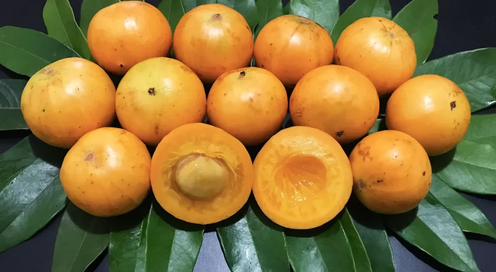 Cientistas Revelam os Surpreendentes Benefícios da Fruta Camambucá: A “Desconhecida” que Pode Transformar Sua Saúde