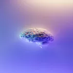 Entenda como a neuroplasticidade permite que o cérebro aprenda, se adapte e até se recupere de traumas. Saiba como usar isso a seu favor no dia a dia.