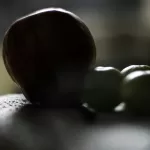 fruta brasileira regula o hapetite