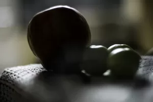 fruta brasileira regula o hapetite