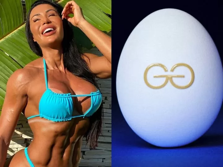 grife de ovos gracyane