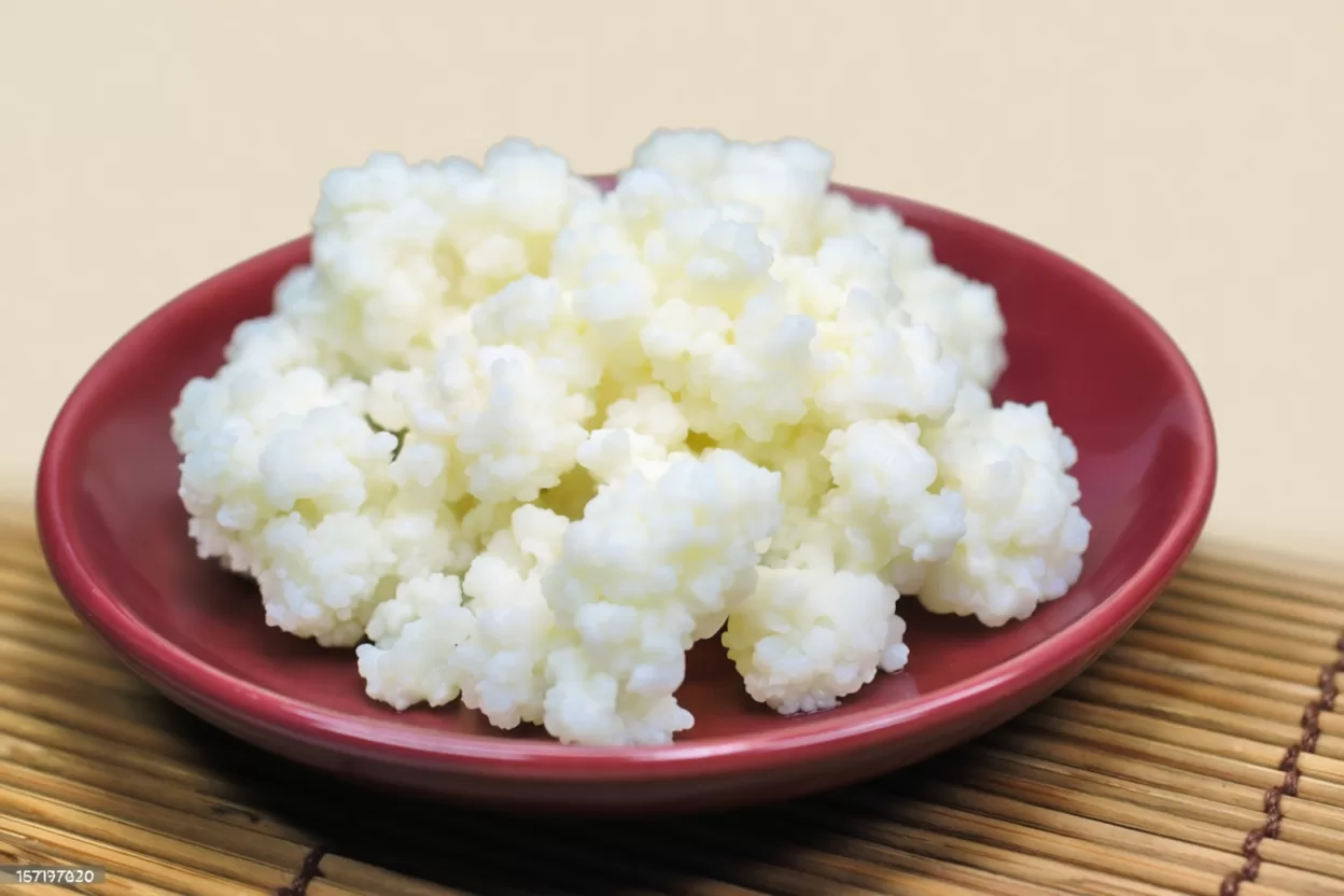 beneficios do kefir