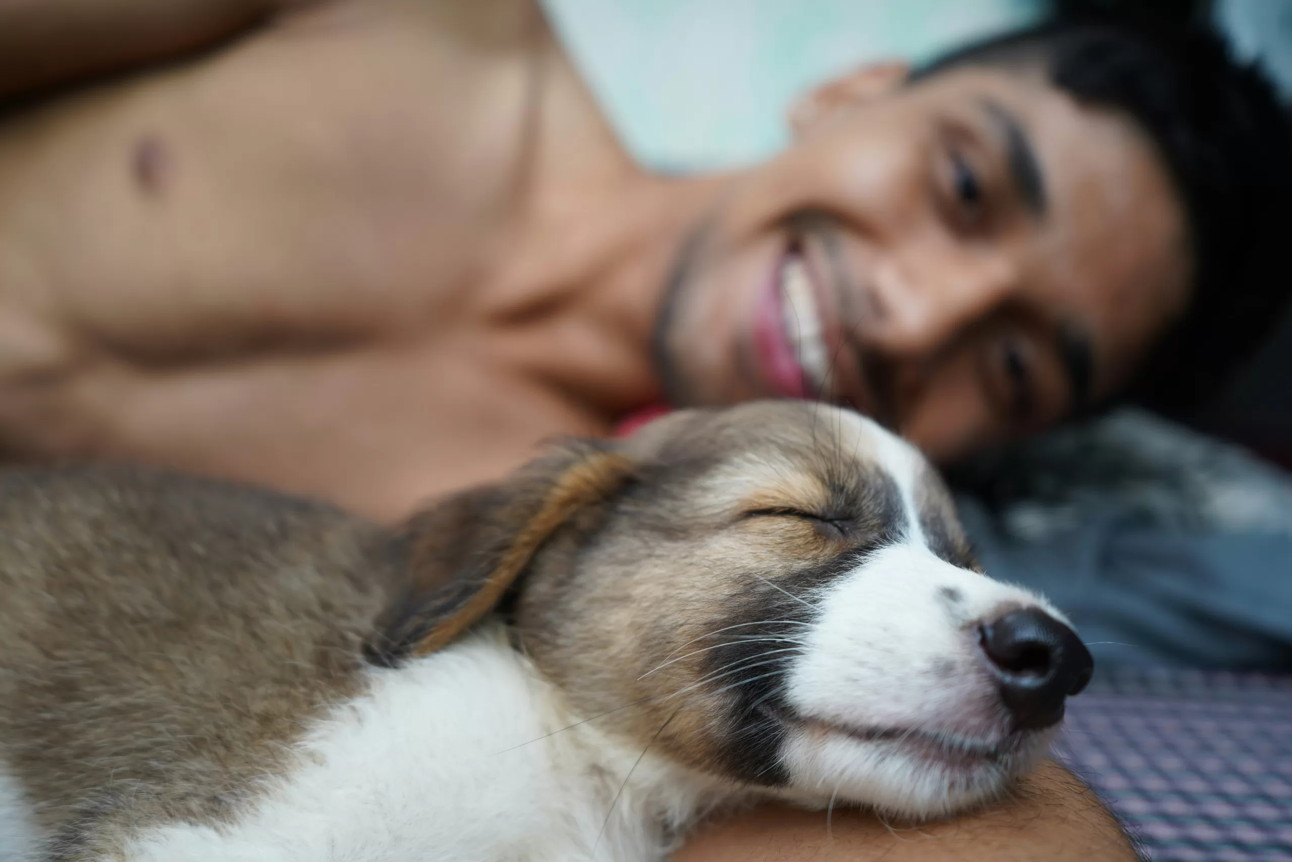 foto de cachorro e dono dormindo na cama